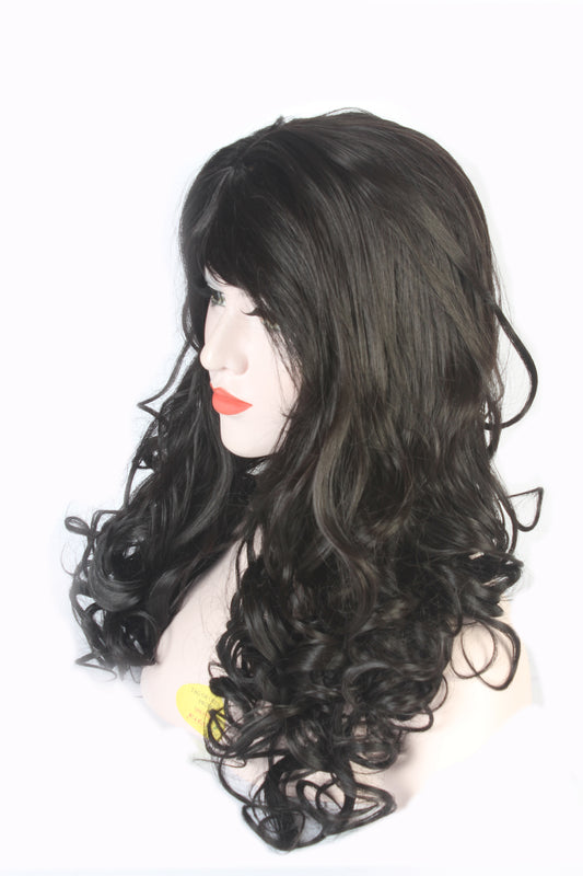 Synthetic Curly Wig for Women – Natural Black Color  Full Wig with Center Part 27 Inch Long & Natural Hair