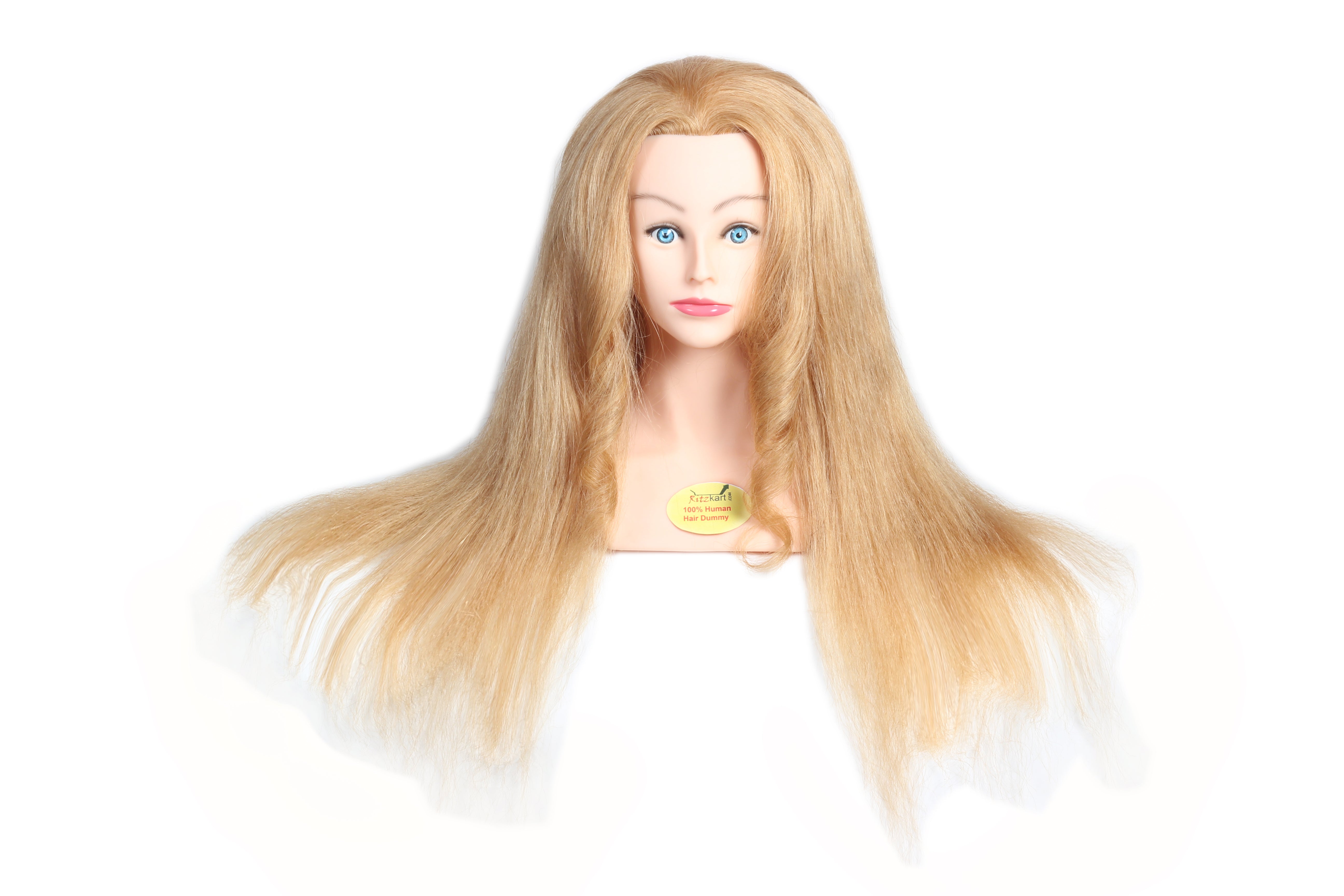 Long 100 human hair best sale mannequin head