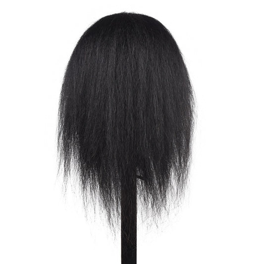 Brown Head Model Doll Head Animal Hair Black Head Model
